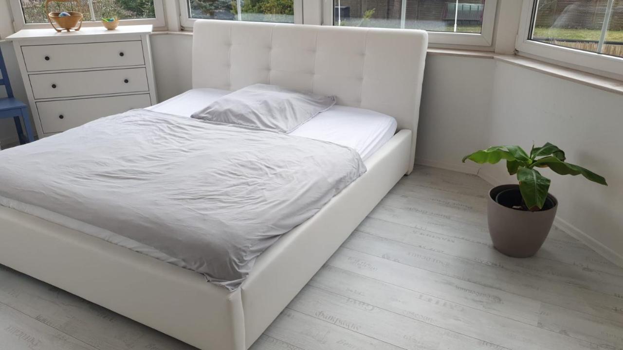 Grosse & Voll Ausgestattete Apartments, Studios, Doppelzimmer, Workspace, Parkplatz, Netflix, Prime & Schnelles Wifi In Ruhiger Lage Mit Garten Рудольштадт Екстер'єр фото